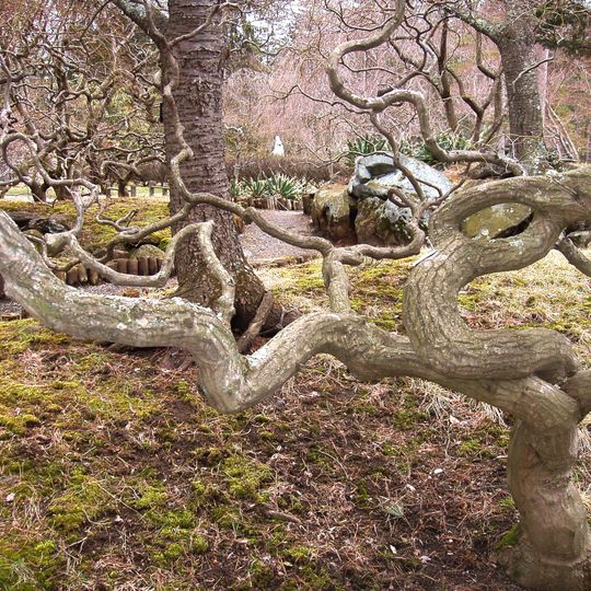 Arboreto de Sister Mary Grace Burns