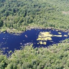 Réserve naturelle régionale de la tourbière de la Grande Pile