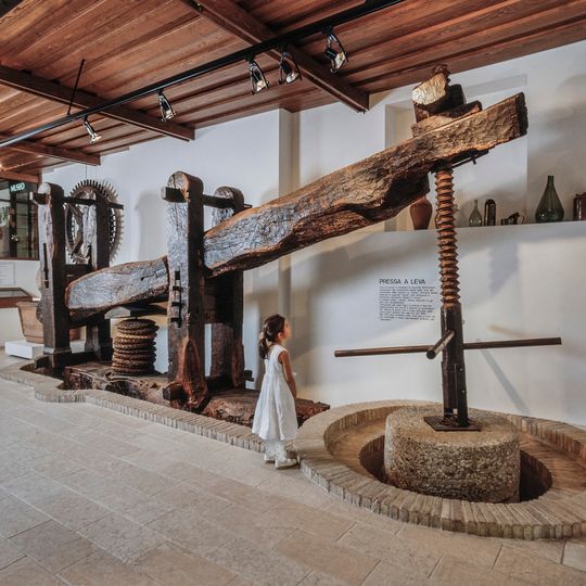 Museo dell'olio