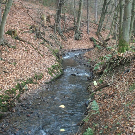 Unteres Mühlenbachtal