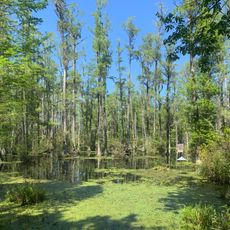 Cypress Gardens