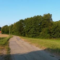 Feuchtgebiet im Großen Mühlfeld