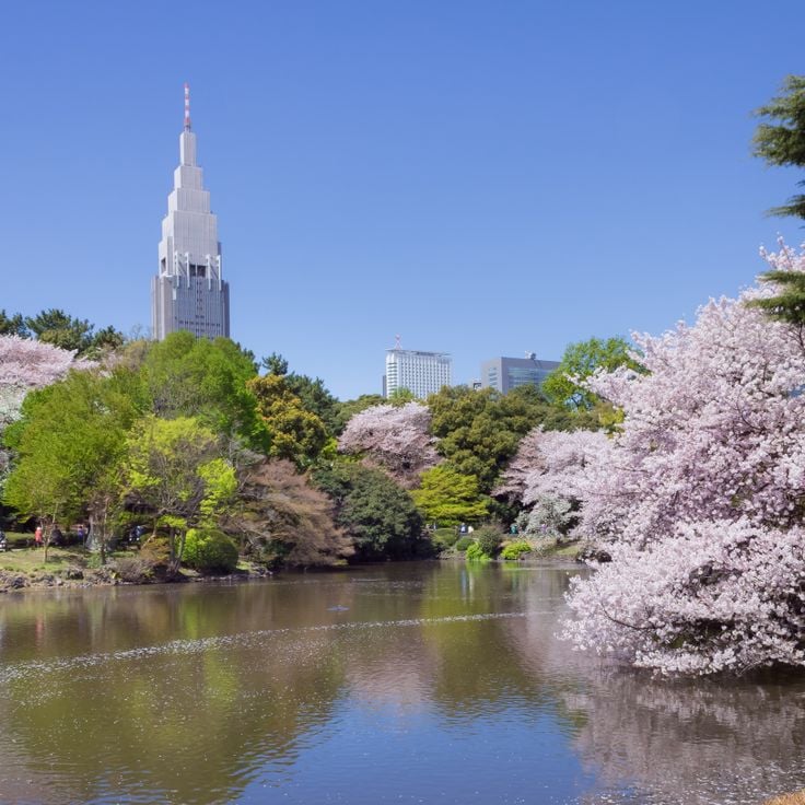 Shinjuku Gyoen, Giardino Nazionale
