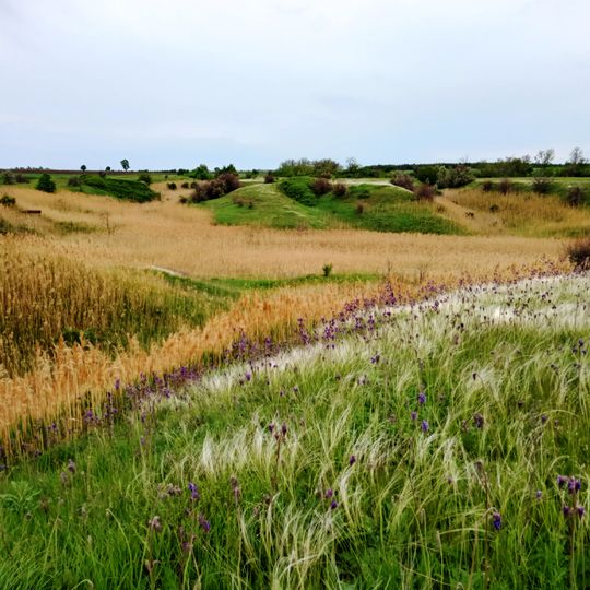 Antoniwskyj sakasnyk