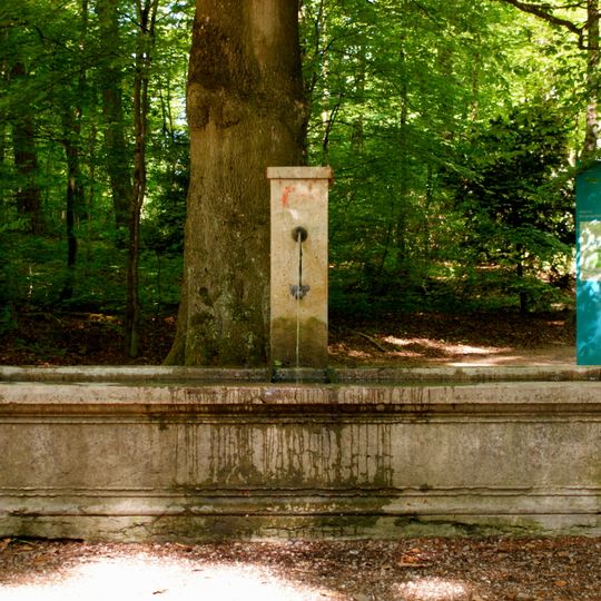 Brunnen Dählhölzliwald