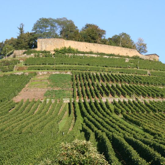 Burgberg mit Weibertreu