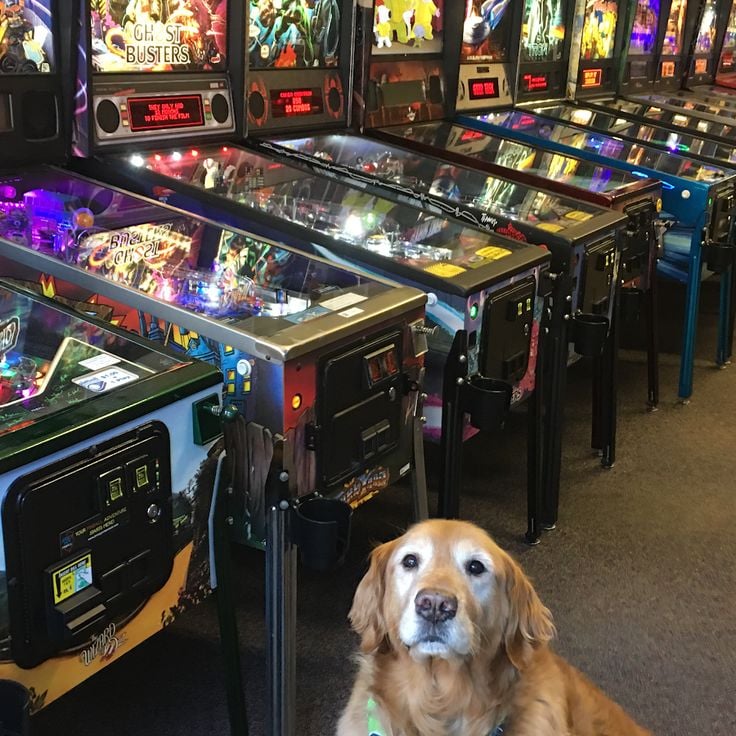 Seattle Pinball Museum