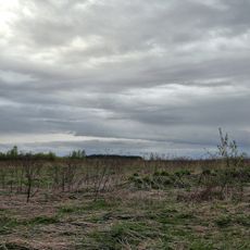 «Липецкое поле» — место битвы московского князя Василия II с татарами в 1445 г. (Суздаль)