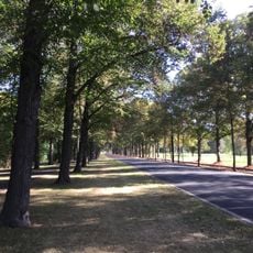 Herrenkrug-Allee