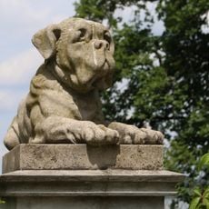 Bulldogge