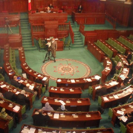Assembly of the Representatives of the People