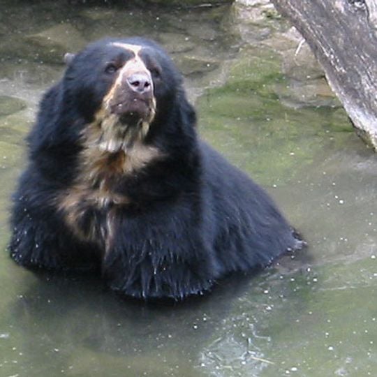 Refugio de vida silvestre Laquipampa