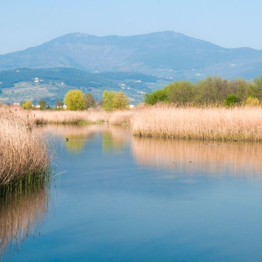 Area naturale protetta di interesse locale Stagni di Focognano
