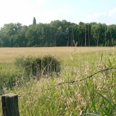 Tongrube Niederpleis