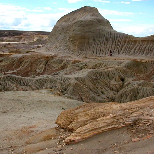 Bosque petrificado Sarmiento