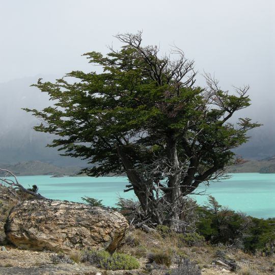 Parco nazionale di Perito Moreno