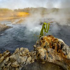 Campi di alterazione geotermica di M.Rotondo e Sasso Pisano