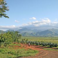 Morogoro
