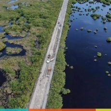 Arrecife de Puerto Morelos National Park