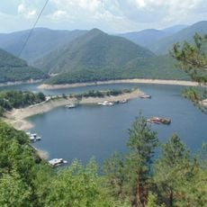 Vătja