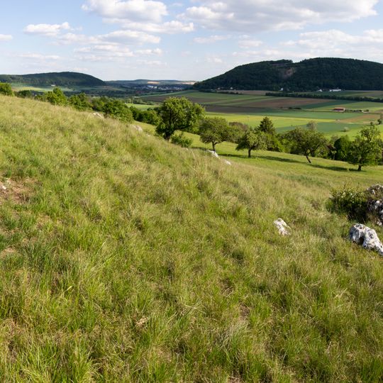 Bergkuppe des Bubenheimer Berges E von Bubenheim