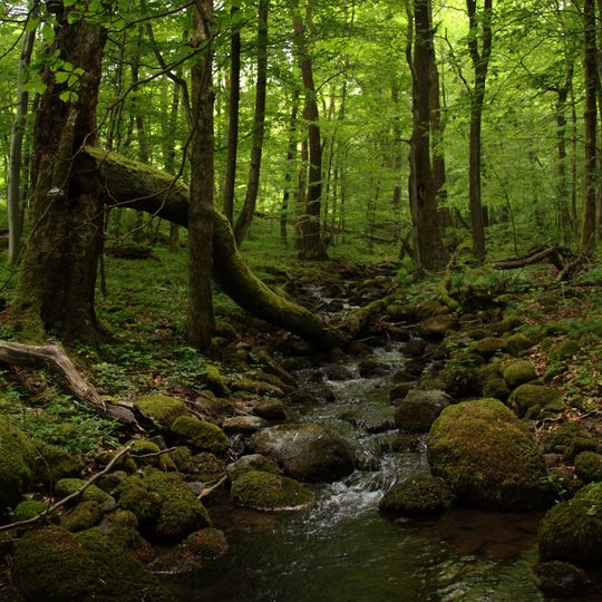 Niddahänge östlich Rudingshain