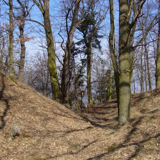 Lípa na Zámeckém vrchu