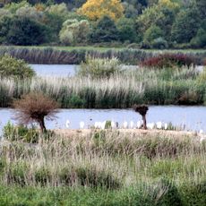 Vogelschutzgebiet Garstadt