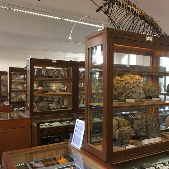 Goldfuß-Museum