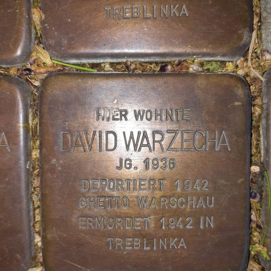 Stolperstein en memoria de David Warzecha
