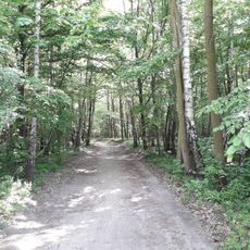 Brudzeń Landscape Park