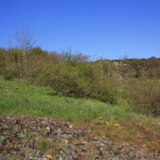 Langenstüttig und Basaltblockmeer am Buchschirmküppel bei Batten