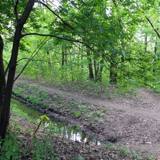 Nature reserve Olszynka Grochowska