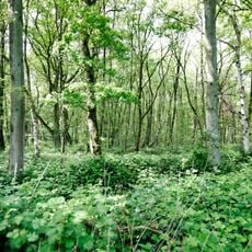 Nieder Heide am Egelsberg