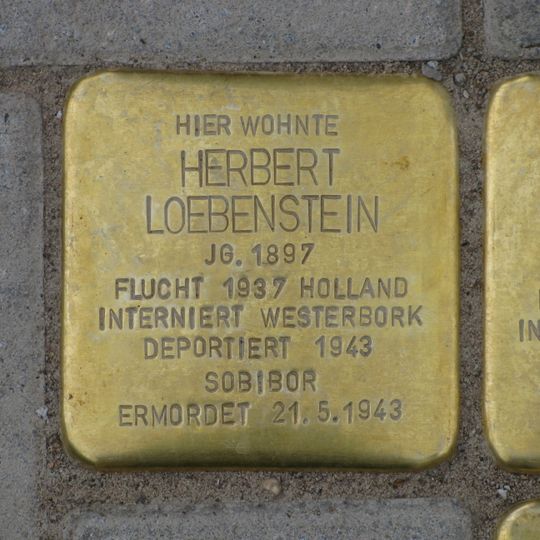 Stolperstein für Herbert Loebenstein