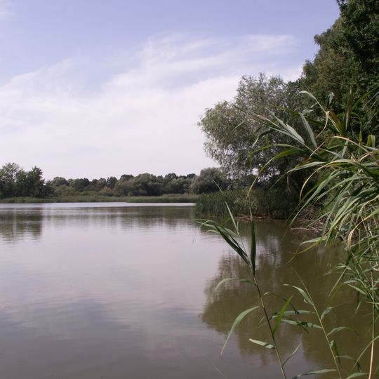 Velký Pavlovický rybník