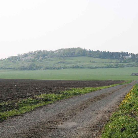 Ovčárská pahorkatina