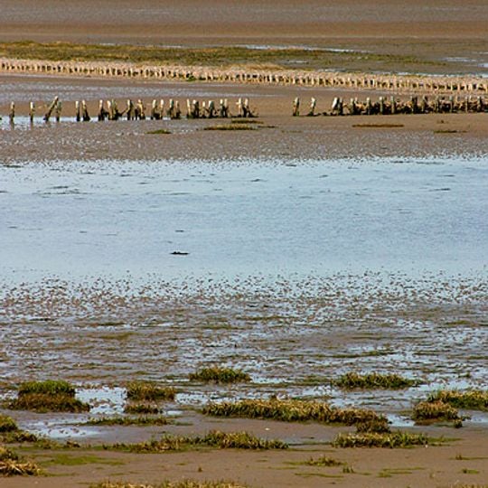Parco nazionale del mare dei Wadden