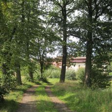 Aleja lipowo-dębowa na odcinku młyn wodny-las