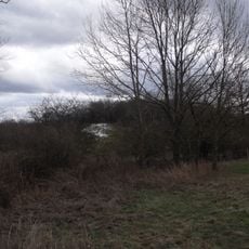 Motte Castrale de Montreux-Château