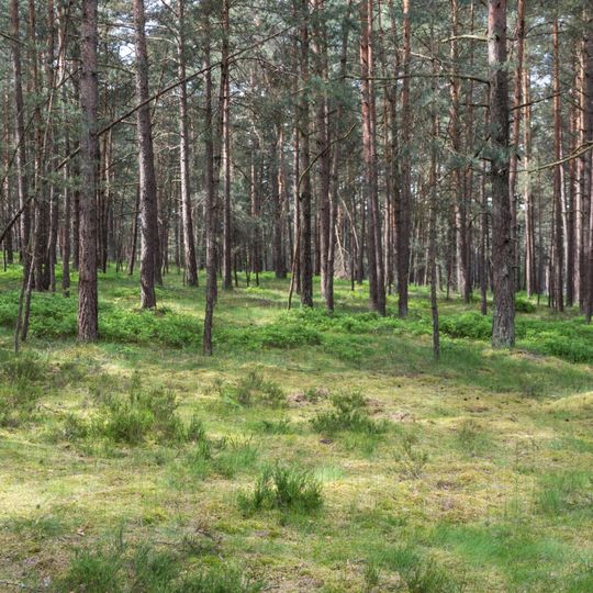 Sanddünen S von Neumarkt