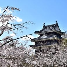 Nishio Castle