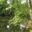 Delaware and Raritan Canal State Park