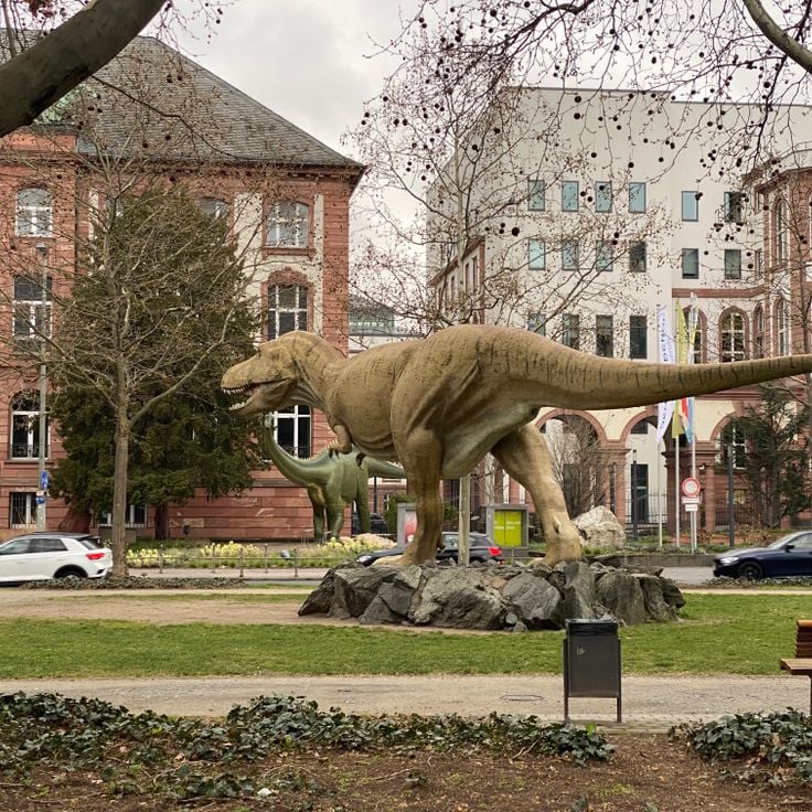 Musée d'histoire naturelle Senckenberg