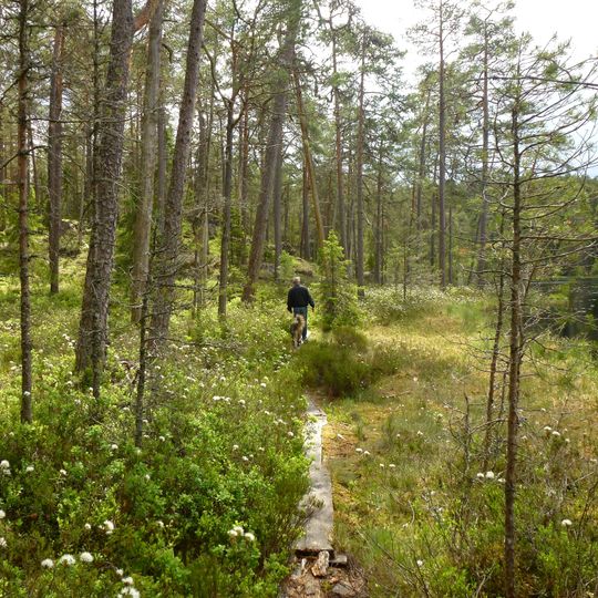 Norra Kvill National Park