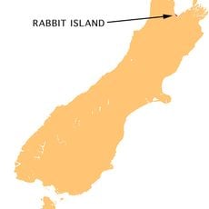 Moturoa / Rabbit Island