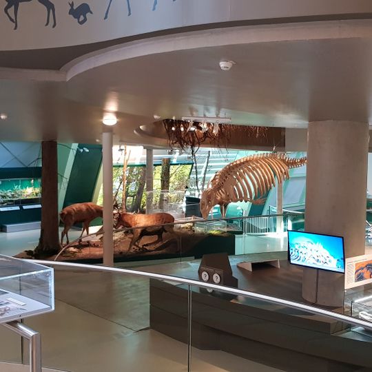 Lower Austria Museum