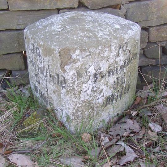 Milestone Opposite Number 31