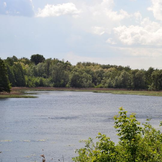 Rokynivskyi nature reserve