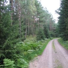 Romincka Forest